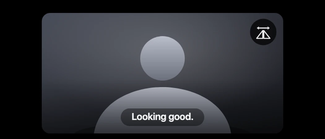 Mirror camera preview in the notch